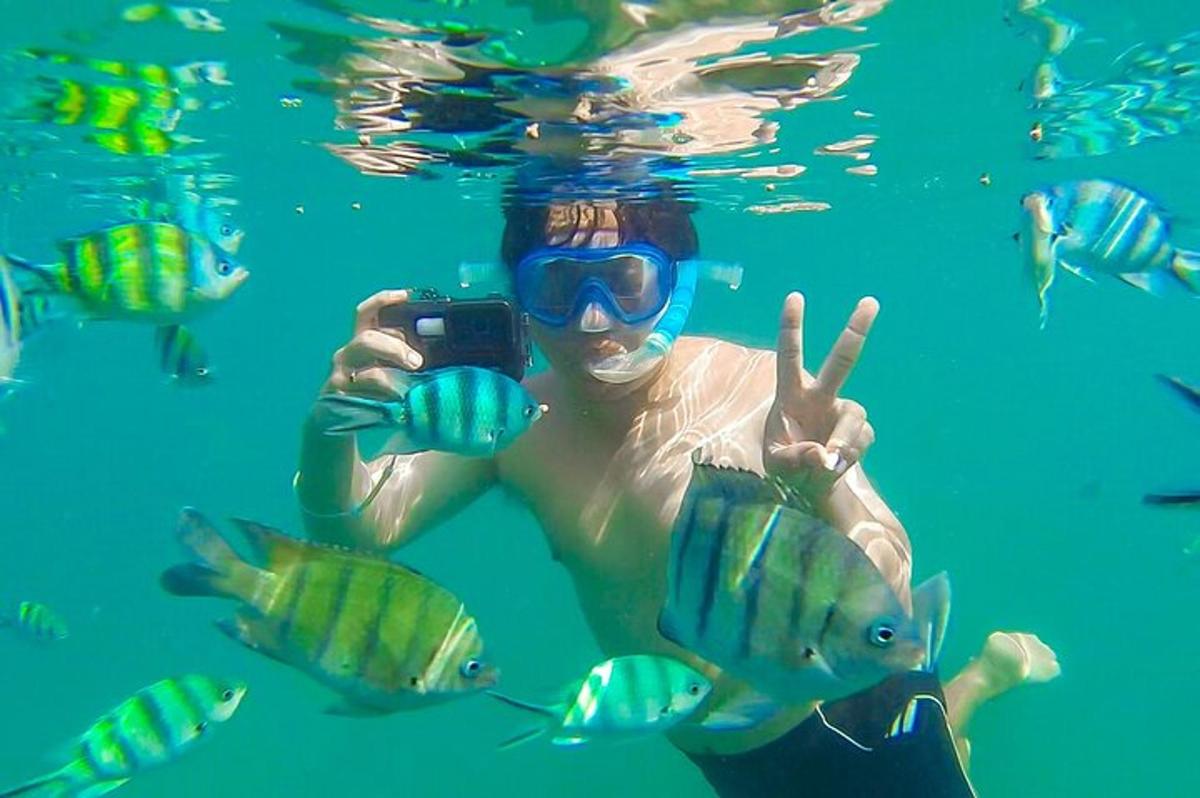 a man in the water taking a picture of fish