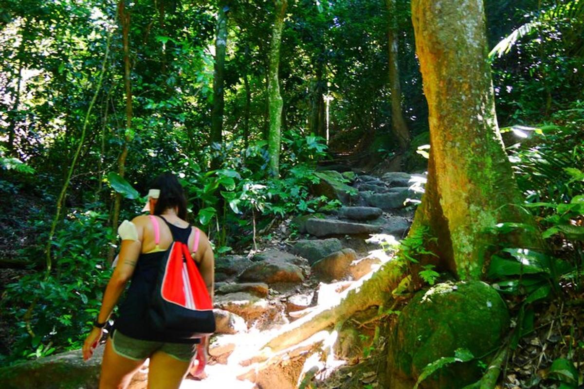 uma mulher caminhando por uma trilha na selva