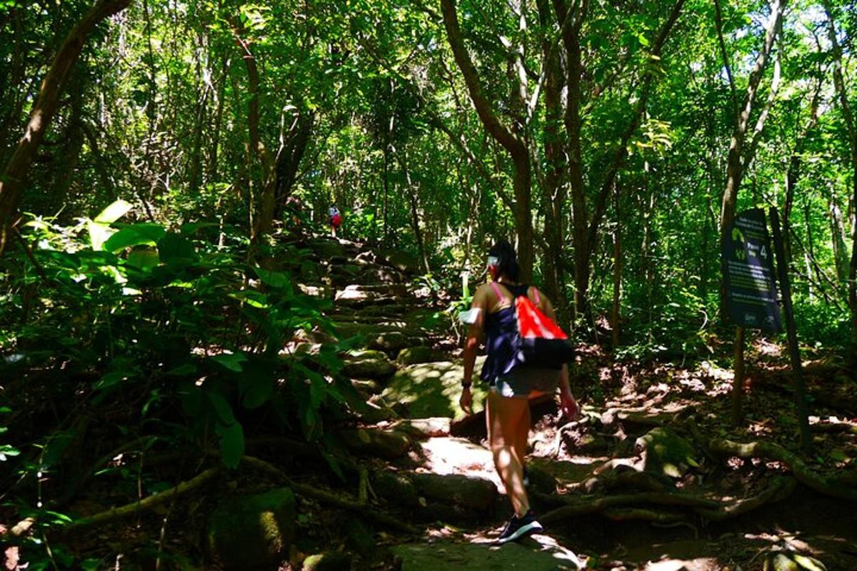 seorang wanita berjalan menyusuri jalan setapak di hutan