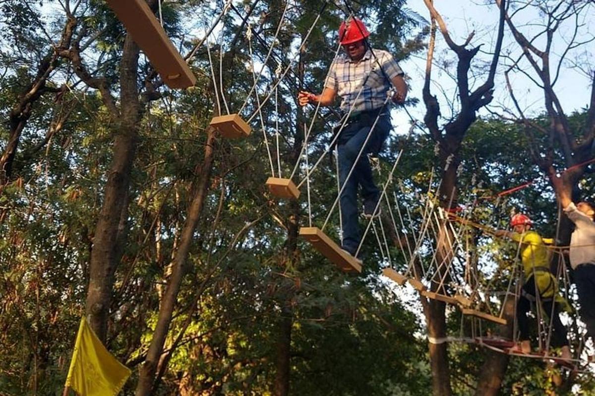 a man on a zip line in a tree