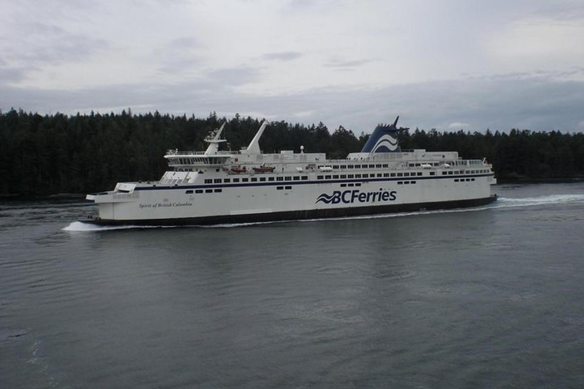 un gran crucero en el agua