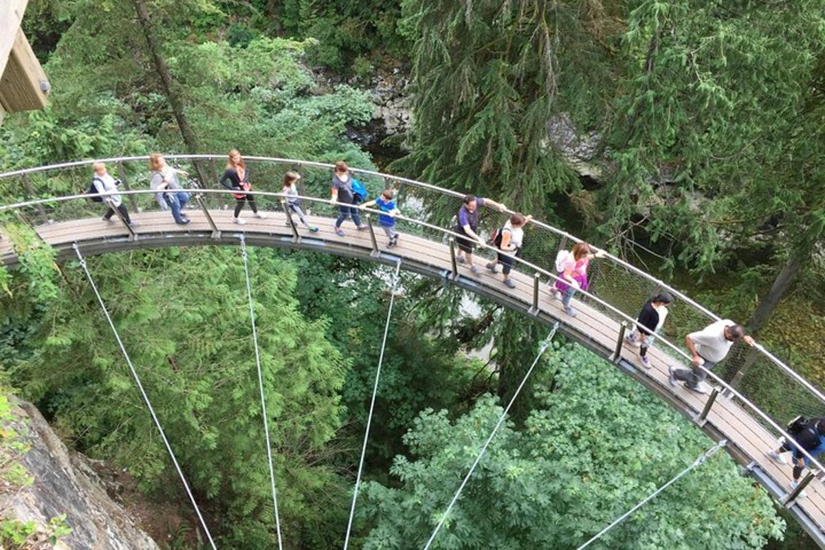 grupp inimesi, kes kõnnivad üle silla