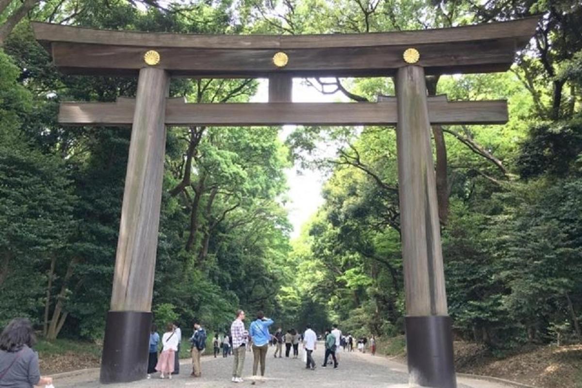 pintu gerbang torii di taman dengan orang berjalan
