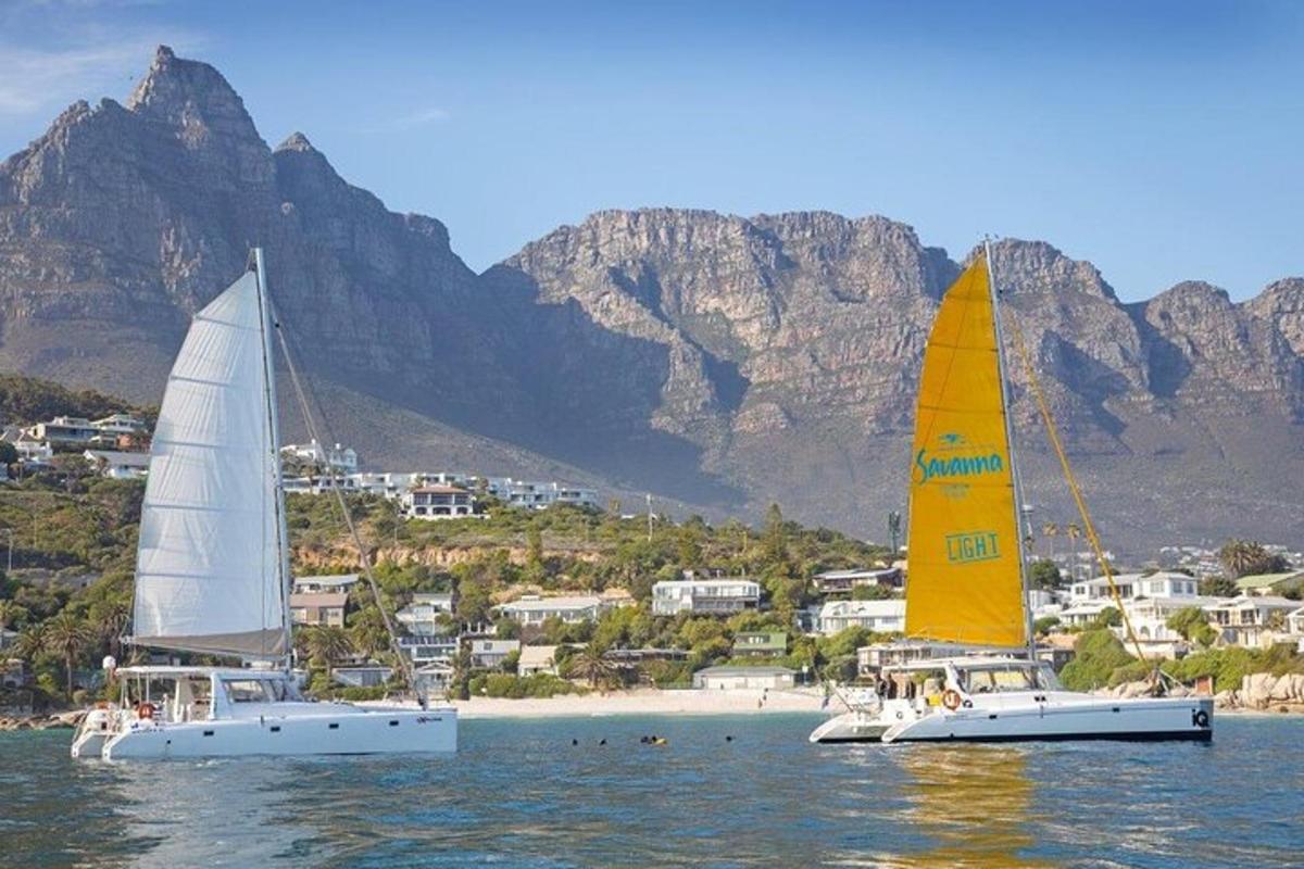zwei Segelboote schwimmen im Wasser in der Nähe eines Strandes