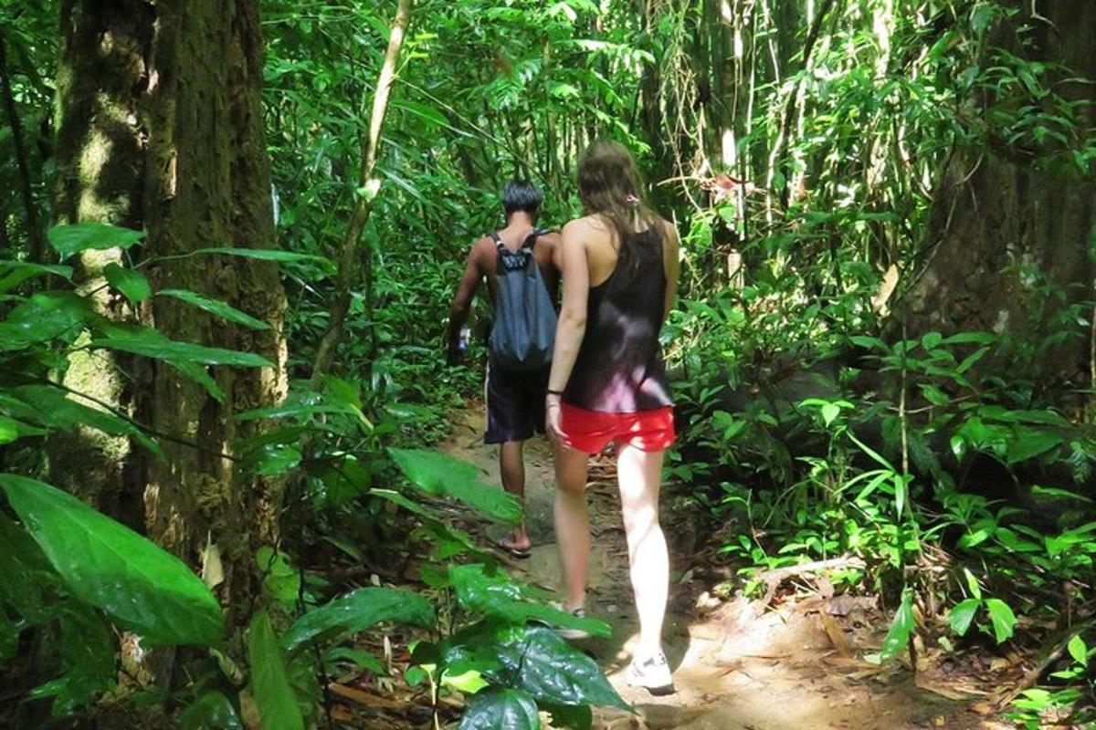 Dos personas caminando por un sendero en la jungla