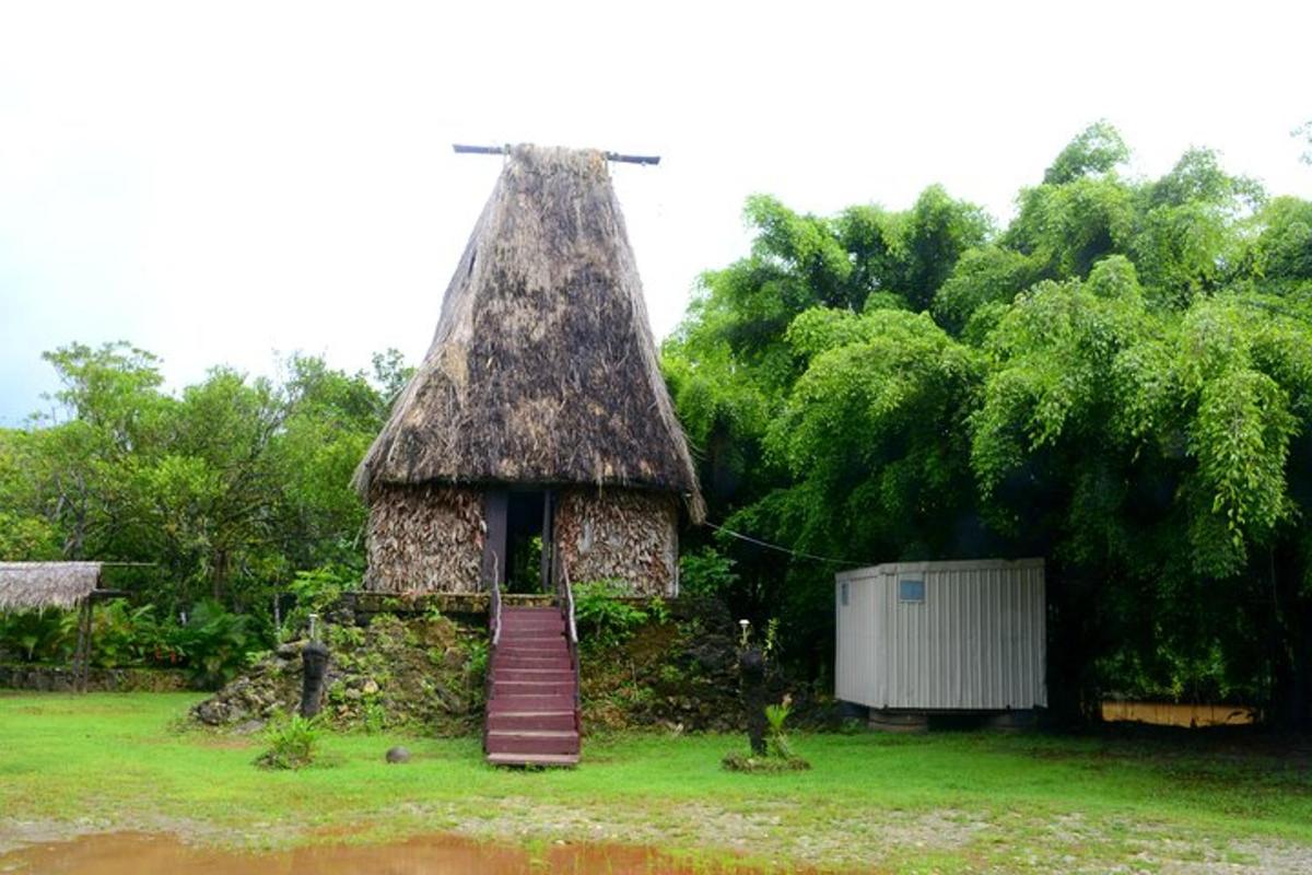 una petita casa amb teulada de palla i una escala