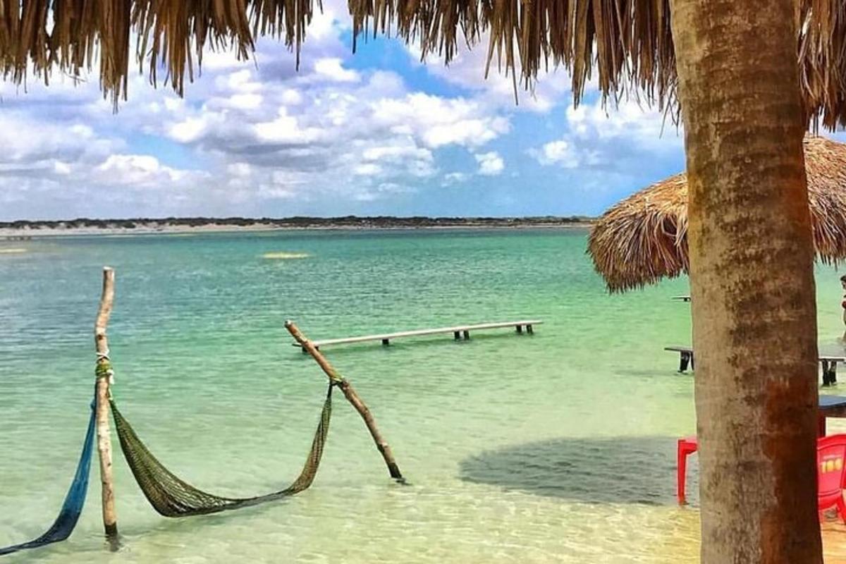 a hammock on a beach next to the ocean
