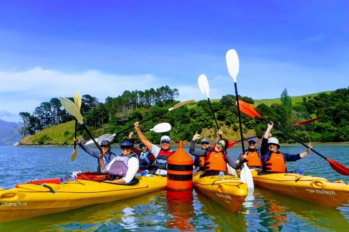 a group of people in kayaks on the water