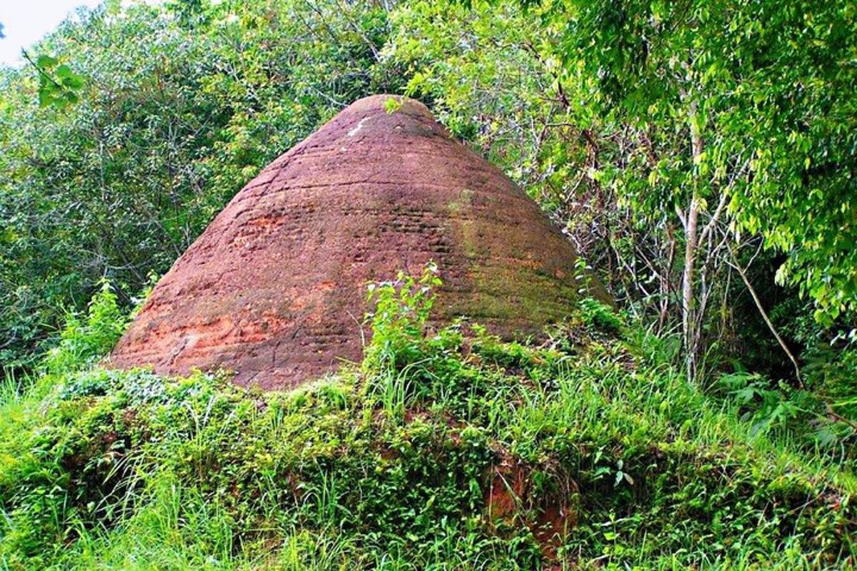 a large rock in the middle of a forest