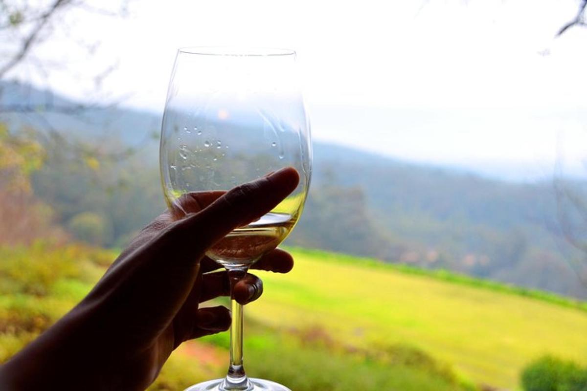 uma pessoa segurando uma taça de vinho em frente a um campo