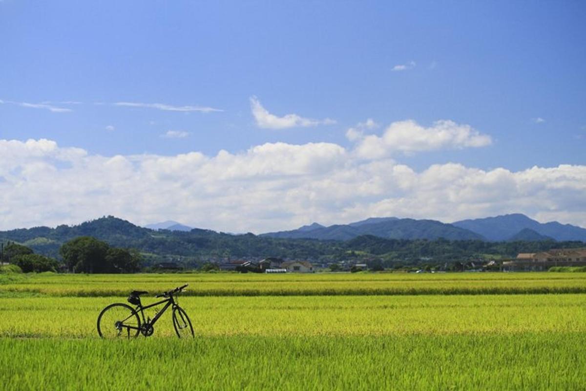 a bike parked in a field of green grass