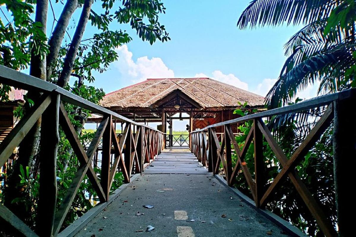 a wooden bridge leading to a building with a roof