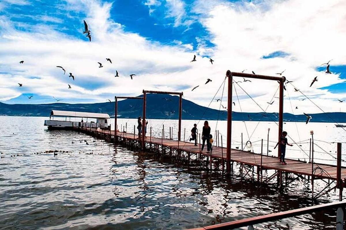 dermaga dengan burung-burung terbang di atas perairan