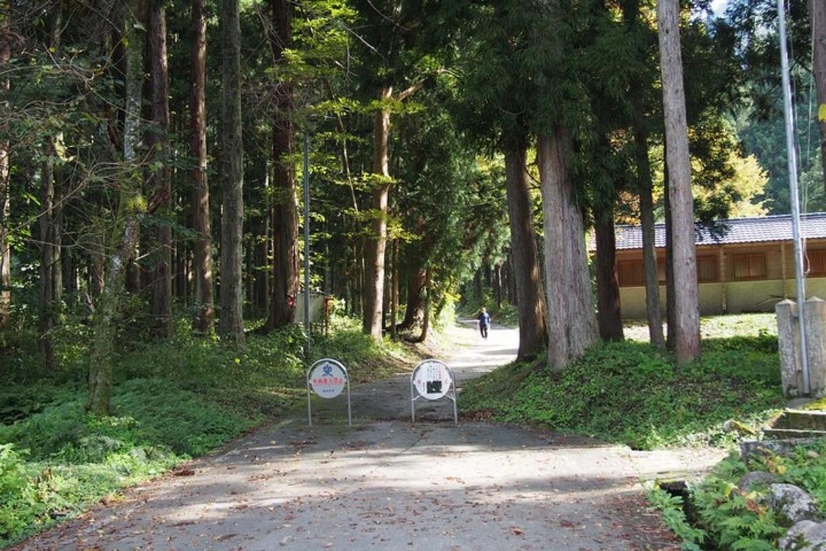 a road with two no entry signs in a park