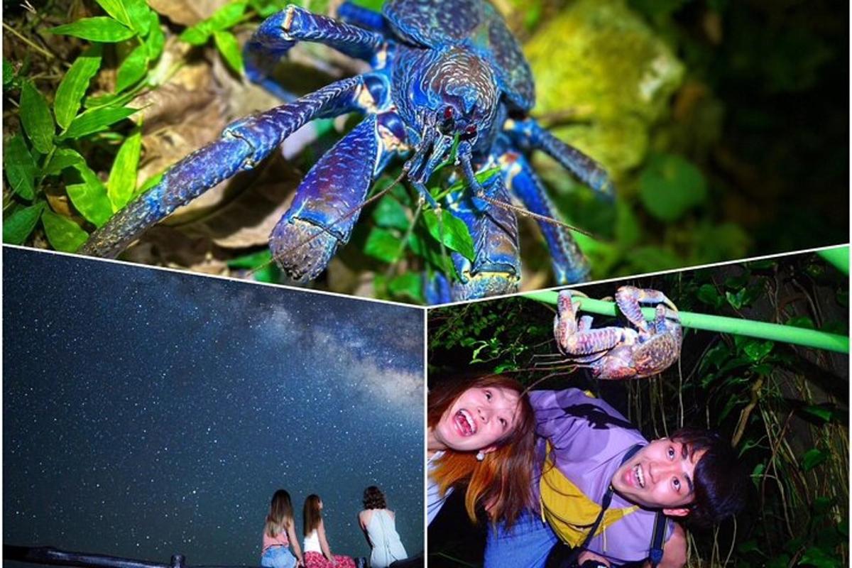 a collage of pictures of a girl and a blue scorpion