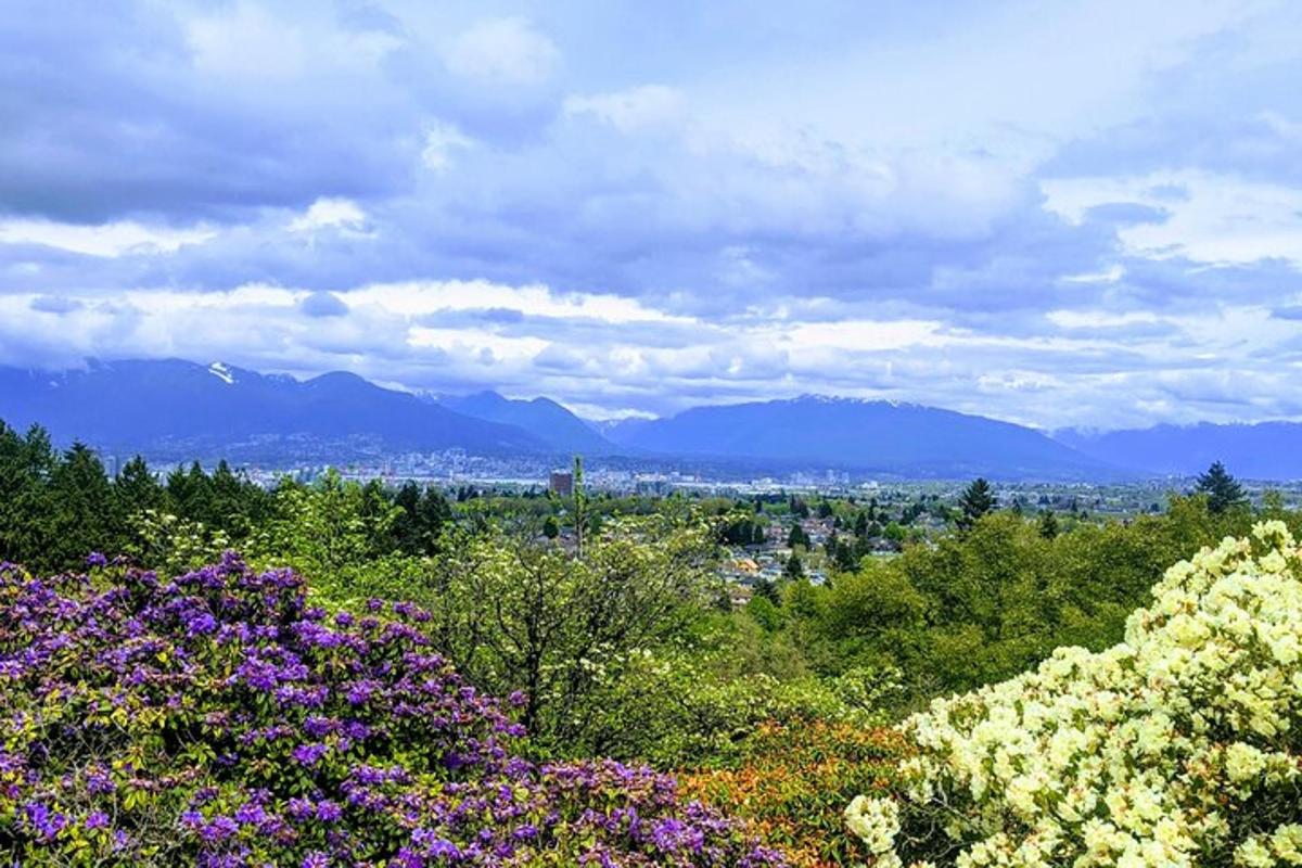 una vista di una città con montagne e fiori