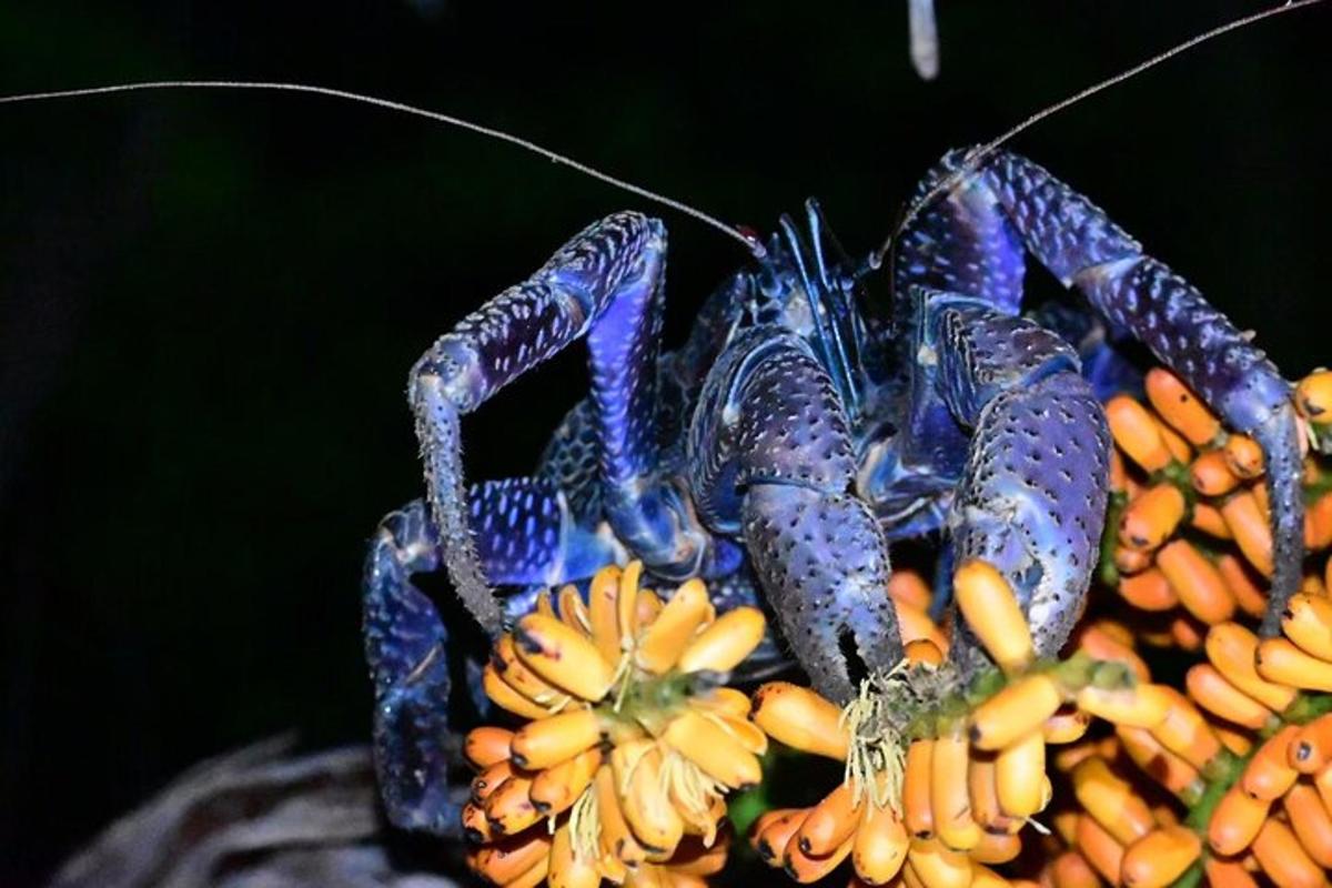 a blue scorpion is sitting on a bunch of bananas