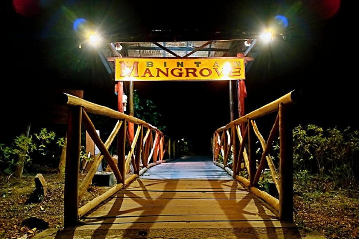 a wooden bridge at night with a sign for a kingdom