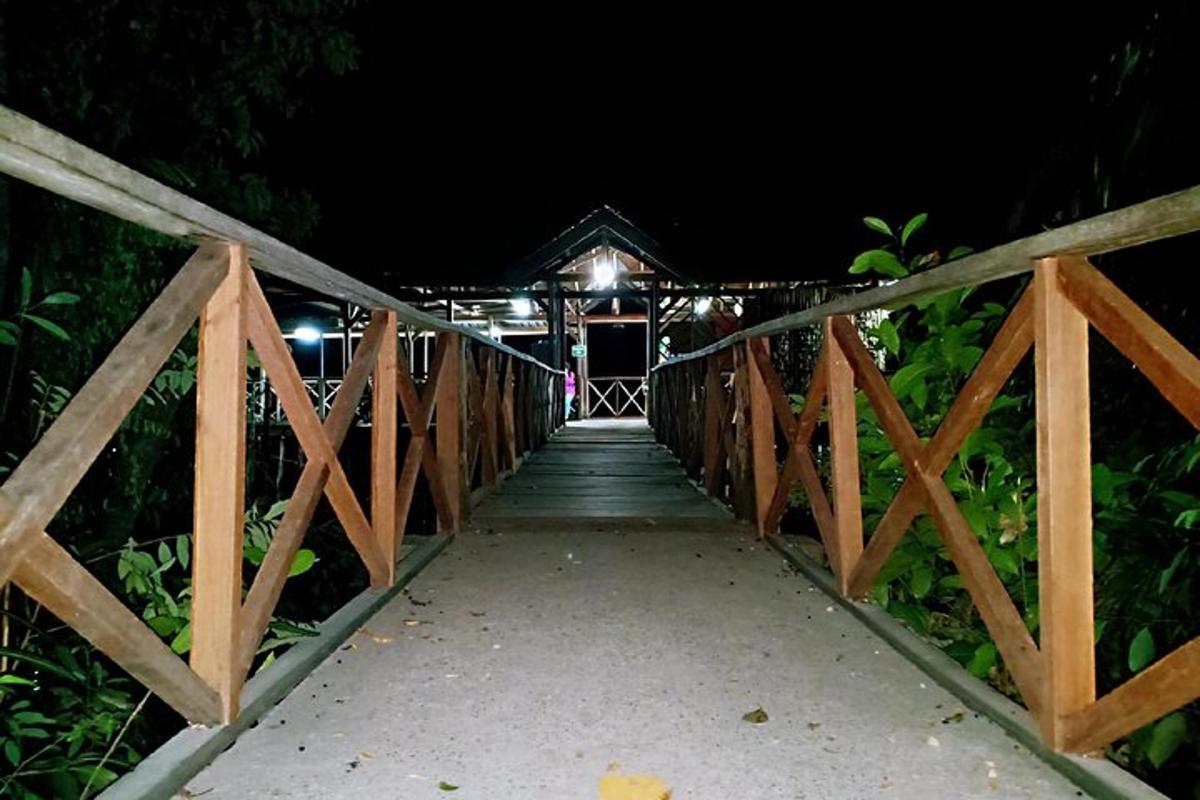 a wooden bridge over a walkway at night