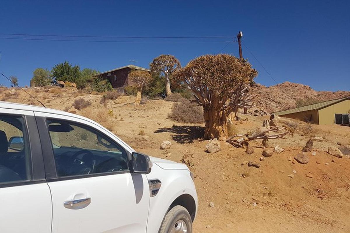 a white car parked on a dirt road with a tree