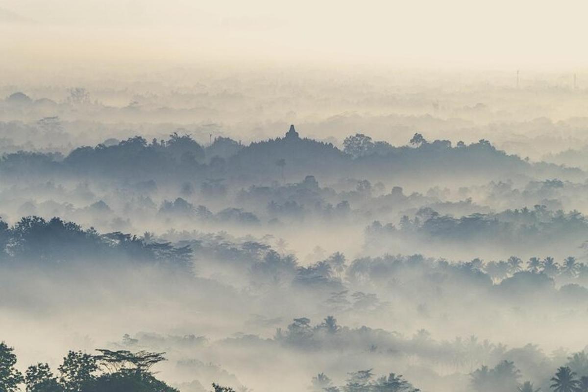 um vale enevoado com árvores ao fundo