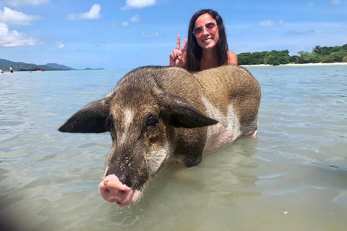 a woman in the water with a pig in the water