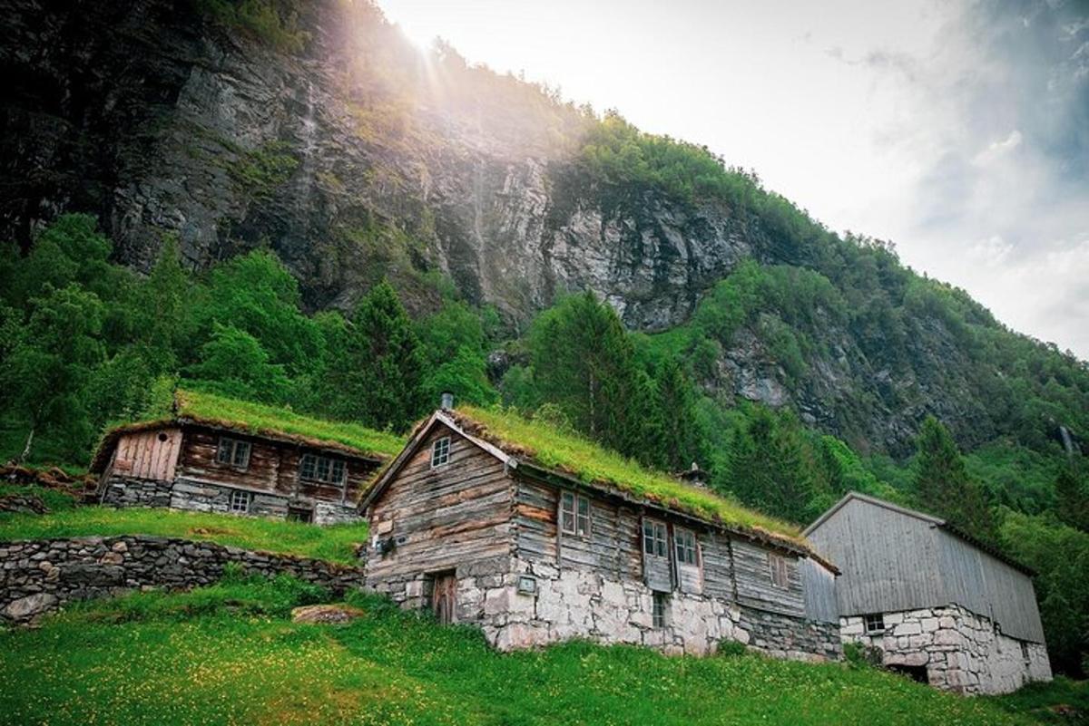 Tvær gamlar hlöður með grasi við fjallshlíðina