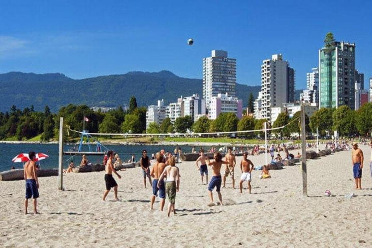 a group of people playing volley ball on a beach
