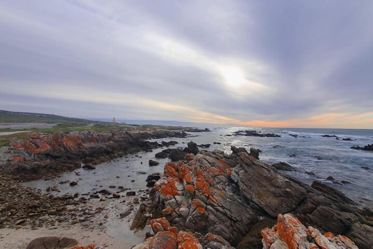 una vista di una spiaggia con rocce e l'oceano