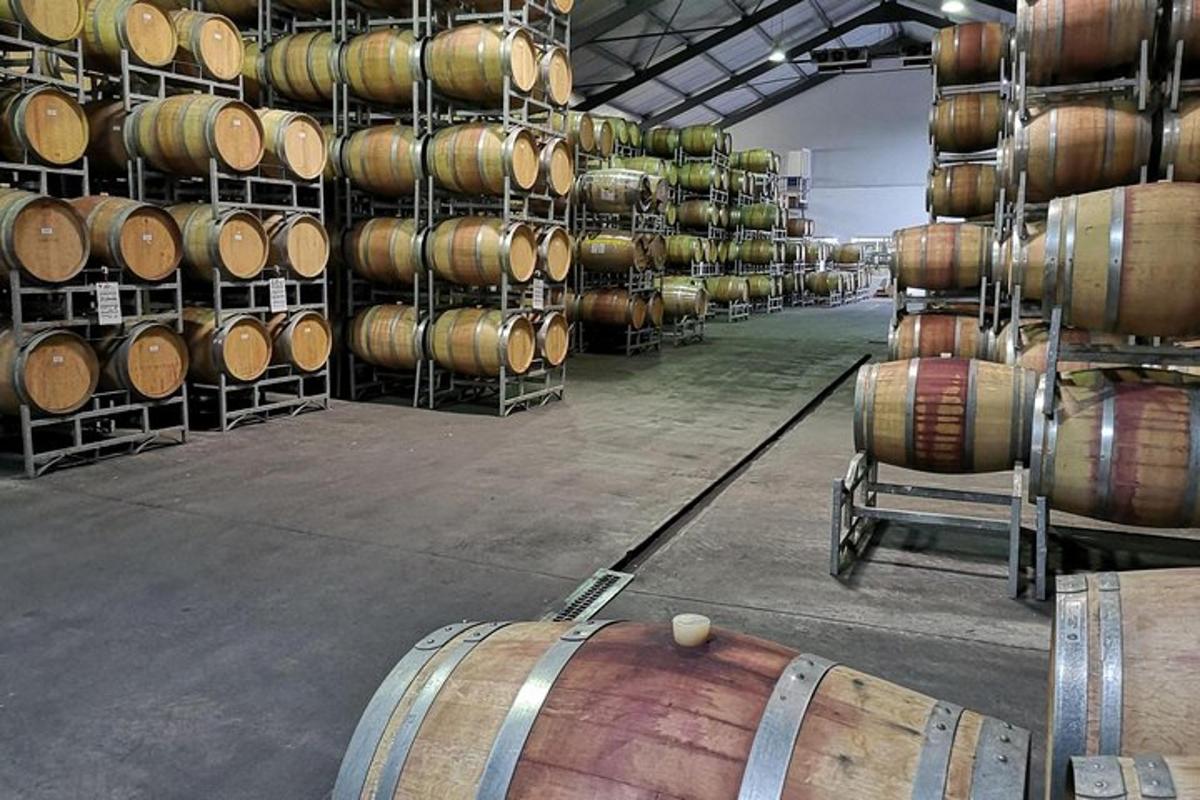 a bunch of wine barrels in a warehouse