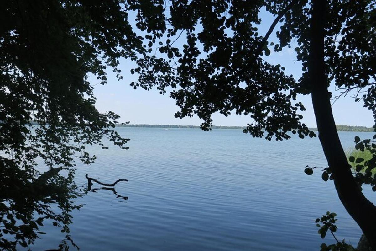 pemandangan tasik dari antara dua pokok