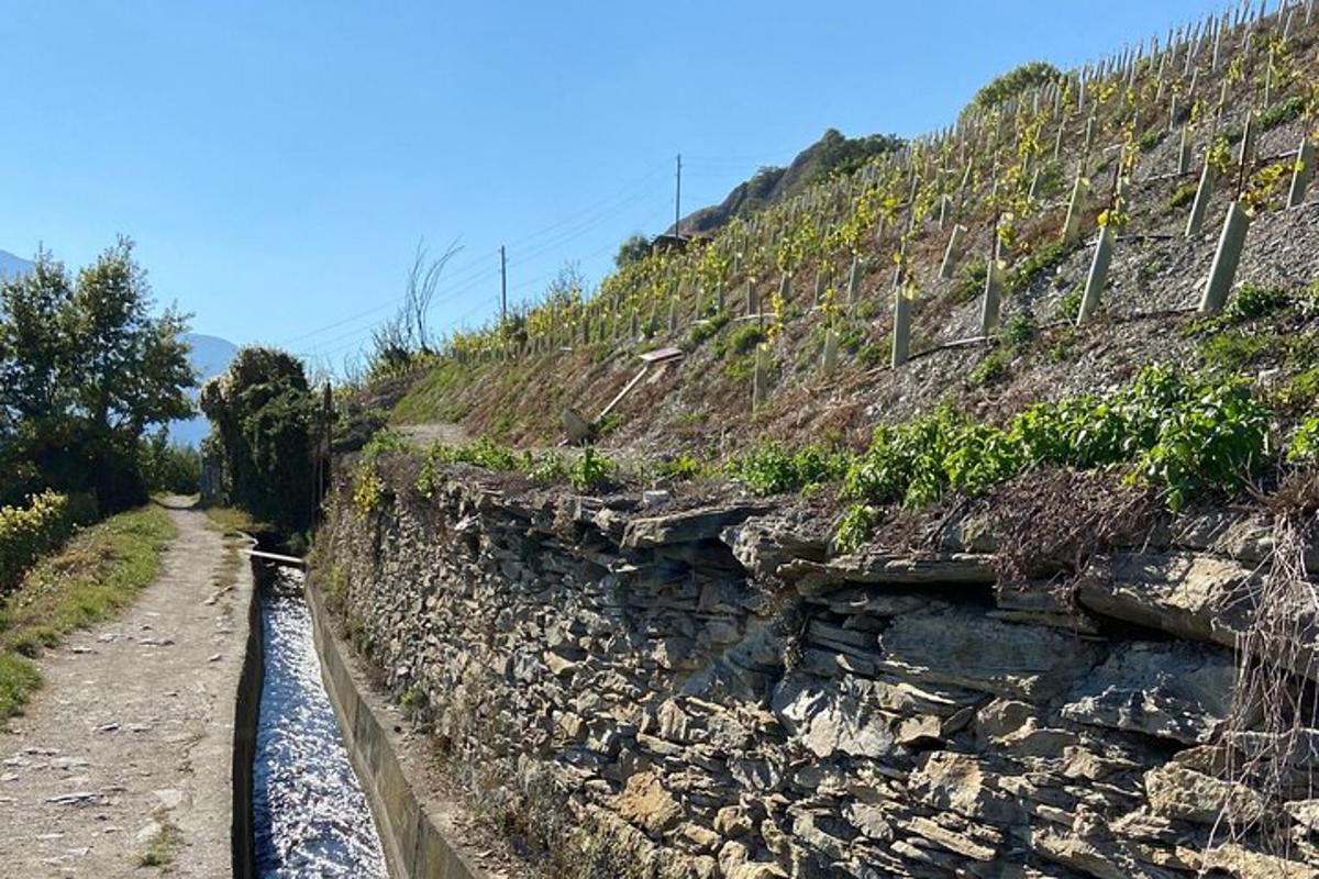 eine unbefestigte Straße neben einem Hügel mit Weinreben