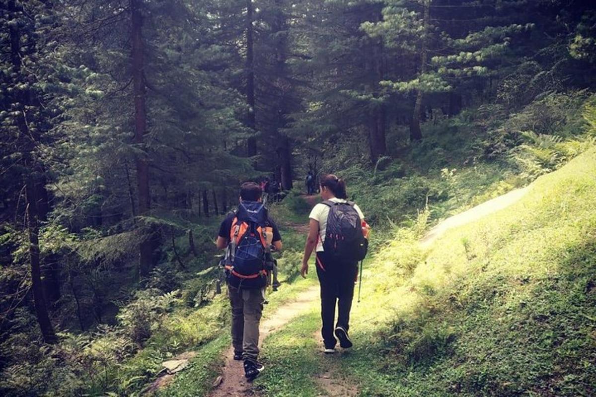 two people walking on a trail in the woods