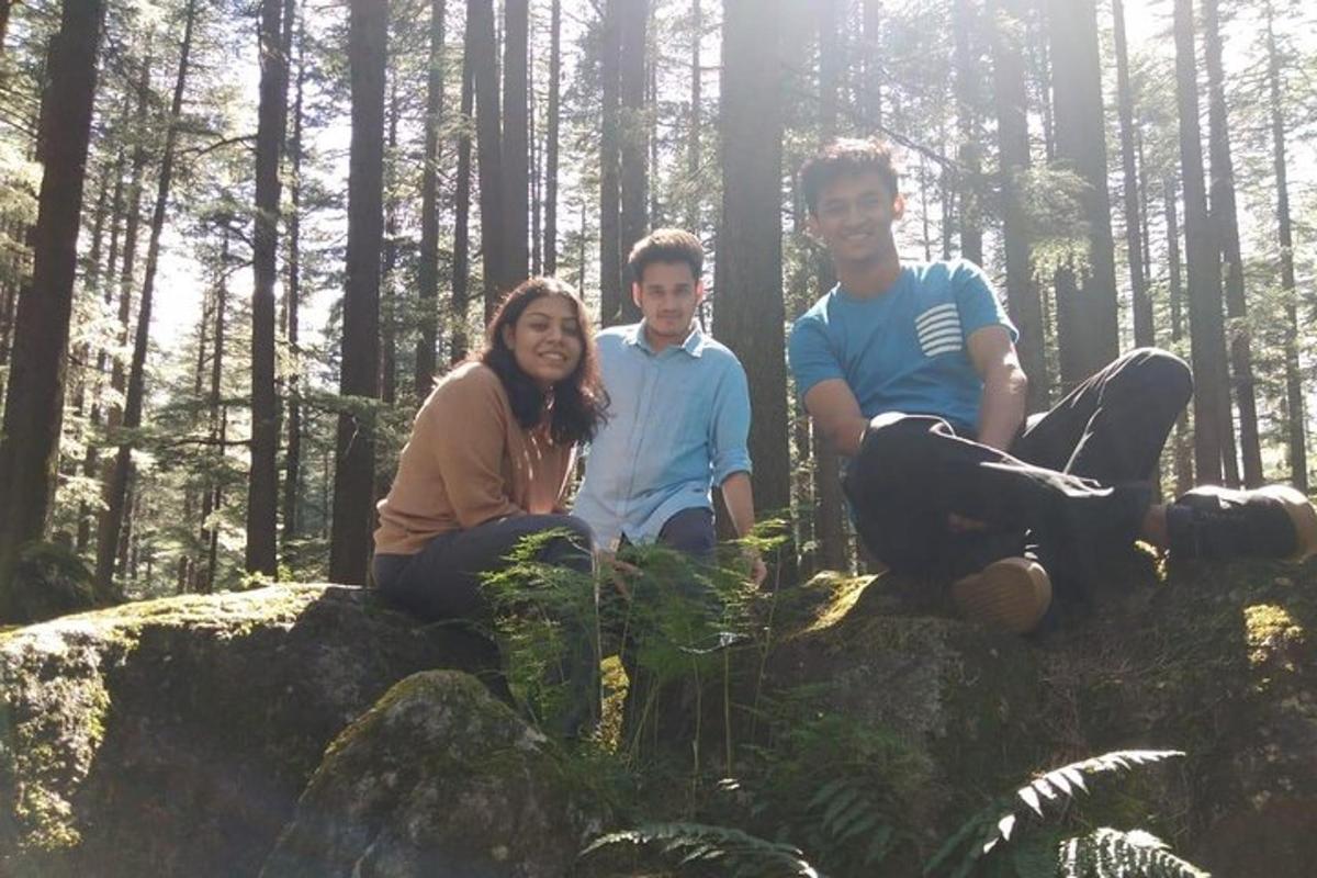 a group of people sitting on rocks in a forest