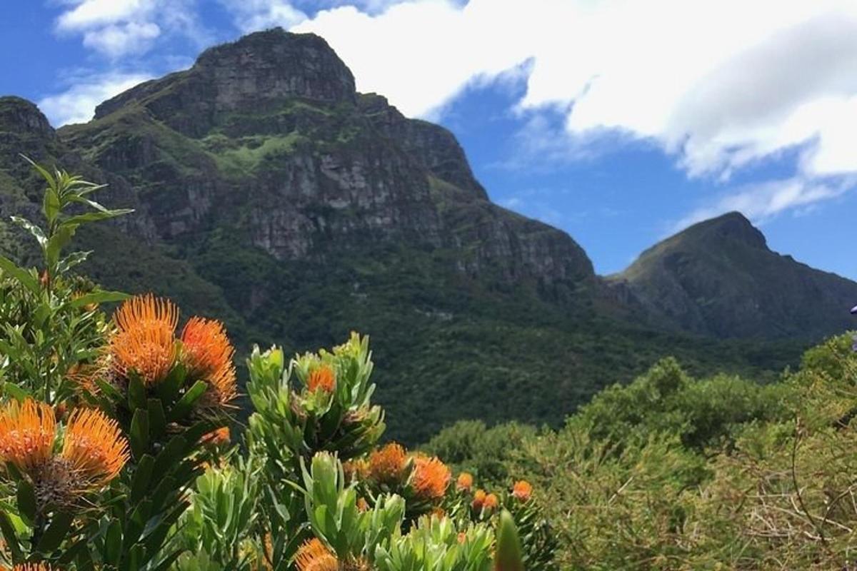 uma vista de uma montanha com flores em primeiro plano
