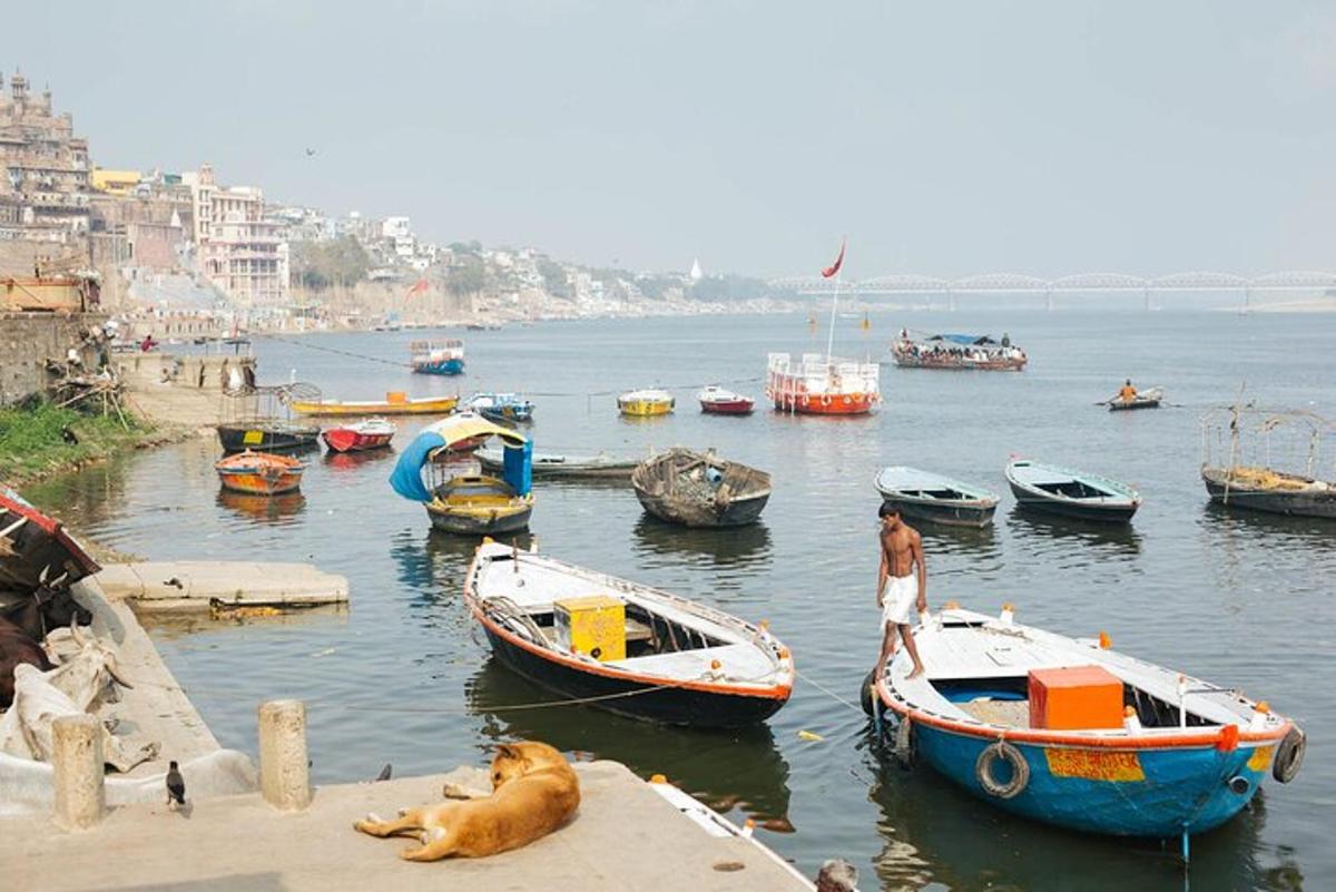 a group of boats in a body of water