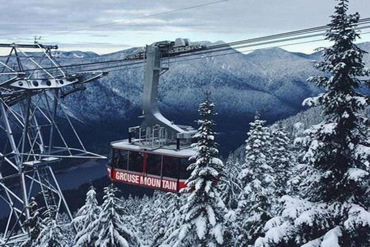 a ski lift in the mountains with snow covered trees
