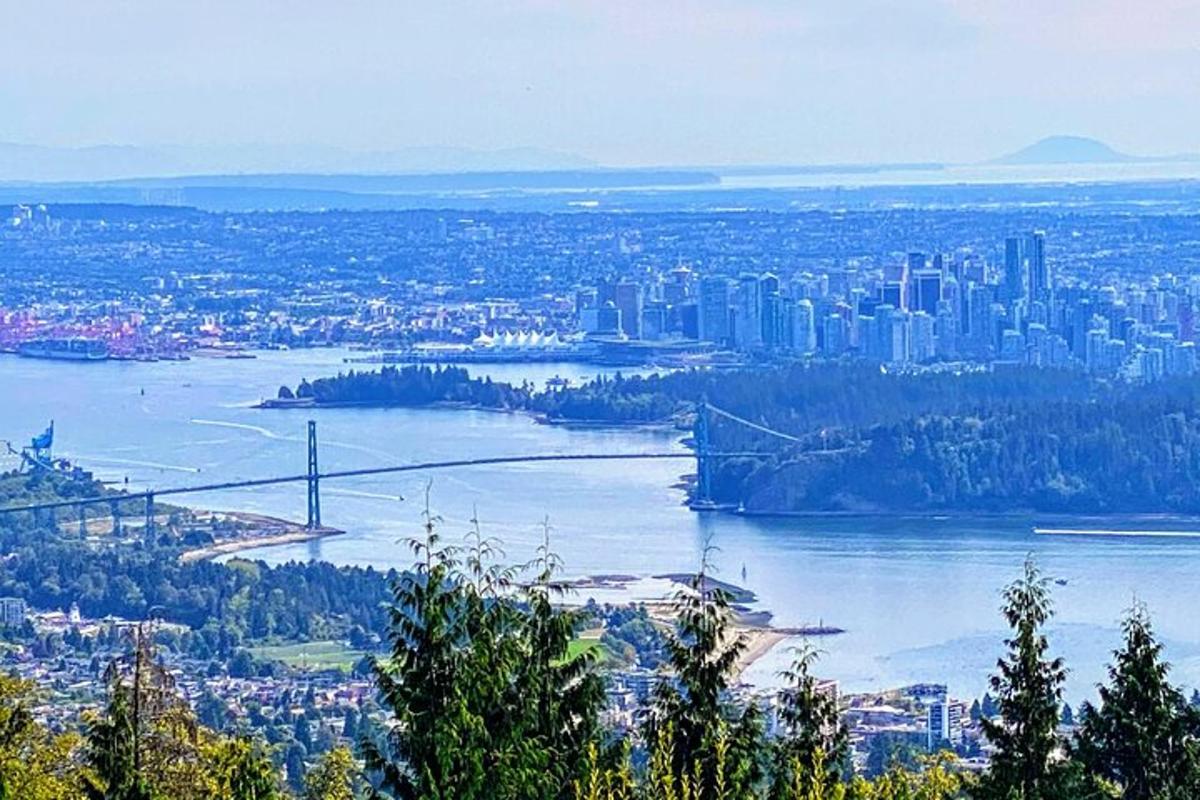 a view of a city with a bridge and a river