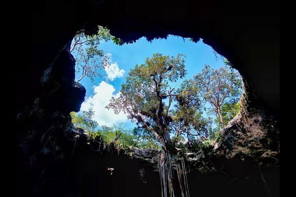 una vista di una grotta con alberi sullo sfondo