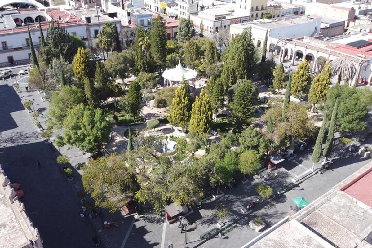 an aerial view of a park with trees in a city