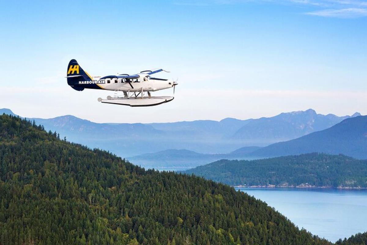 et lite fly som flyr over vannet og fjellene