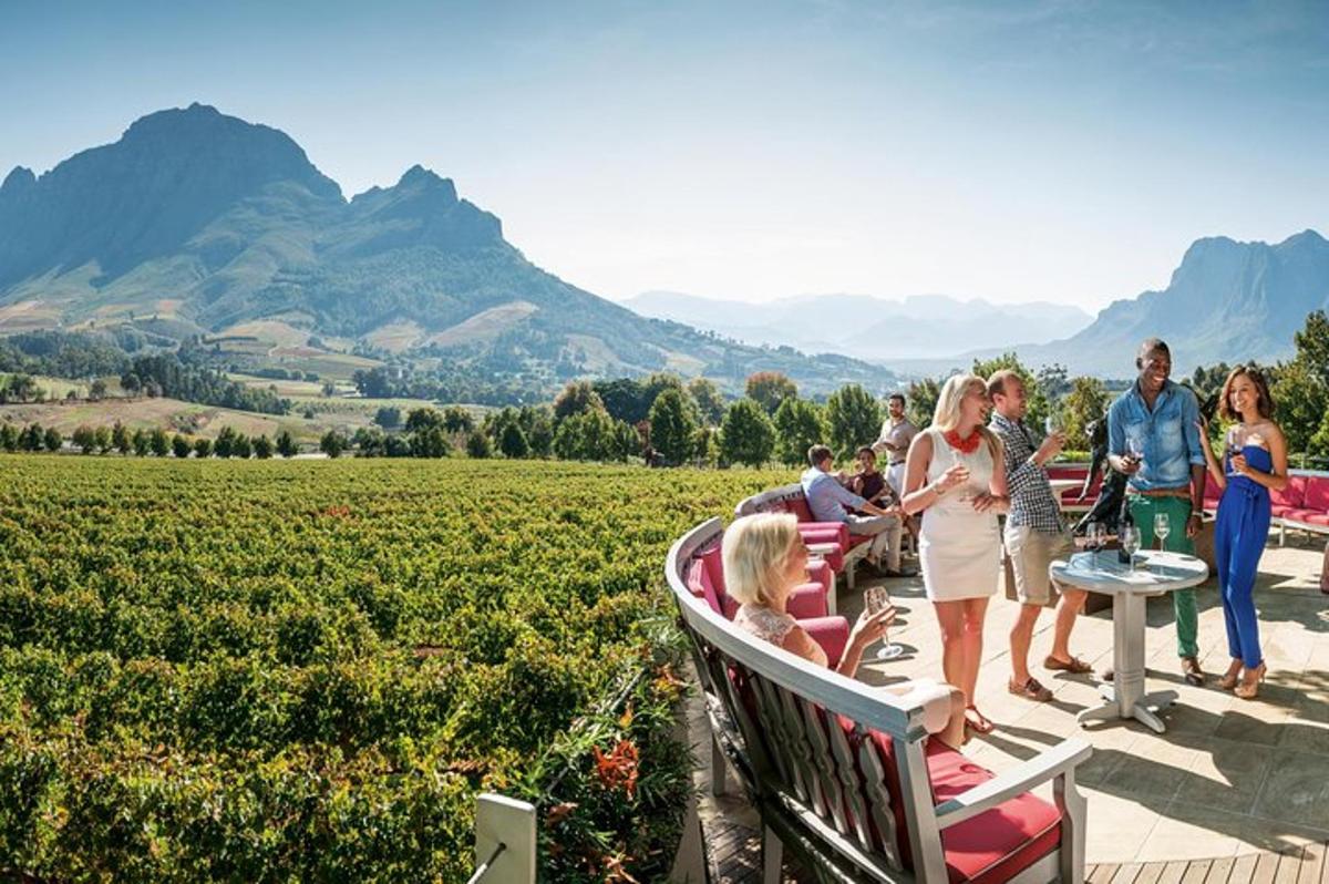 a group of people standing around a table overlooking a vineyard