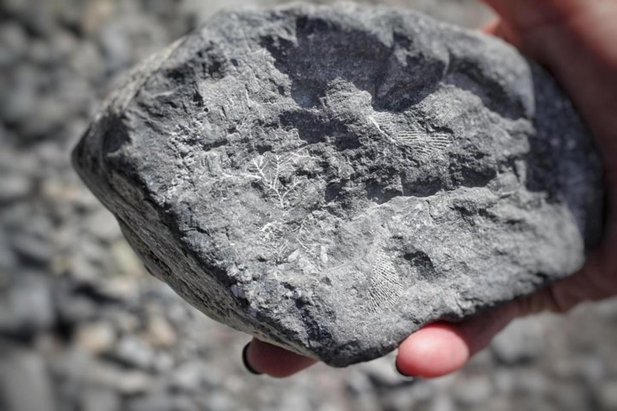 a person holding a rock with a painting on it