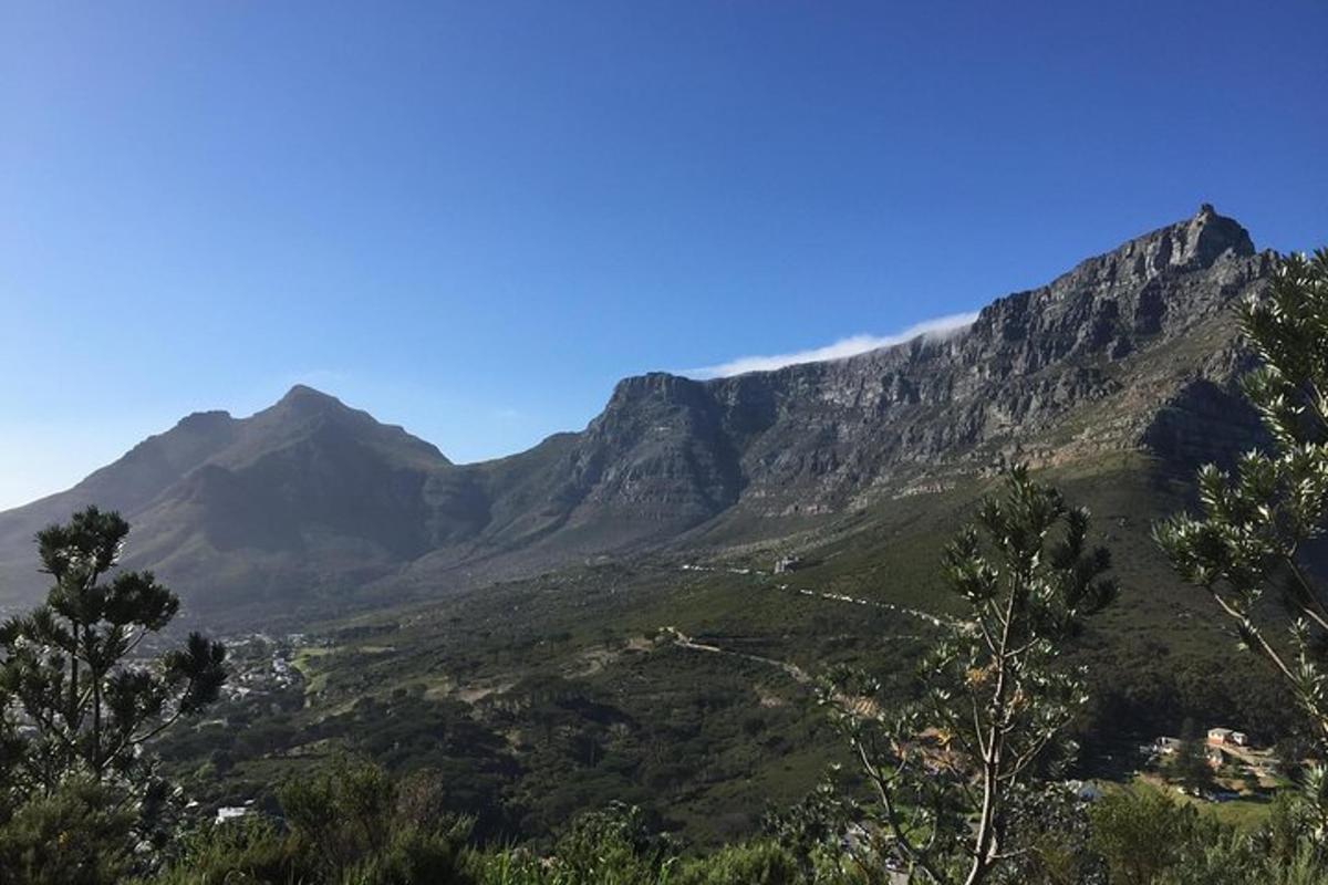 Una vista de una cadena montañosa con árboles en primer plano.