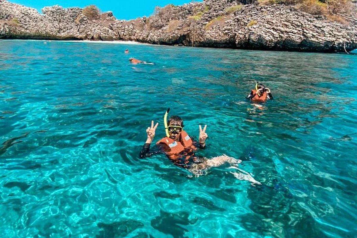 a group of people swimming in the water
