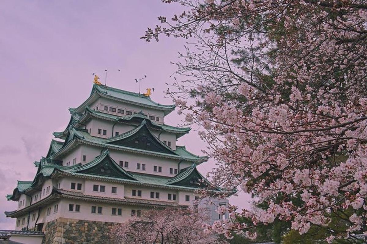 a japanese tower with pinkakura trees in front of it