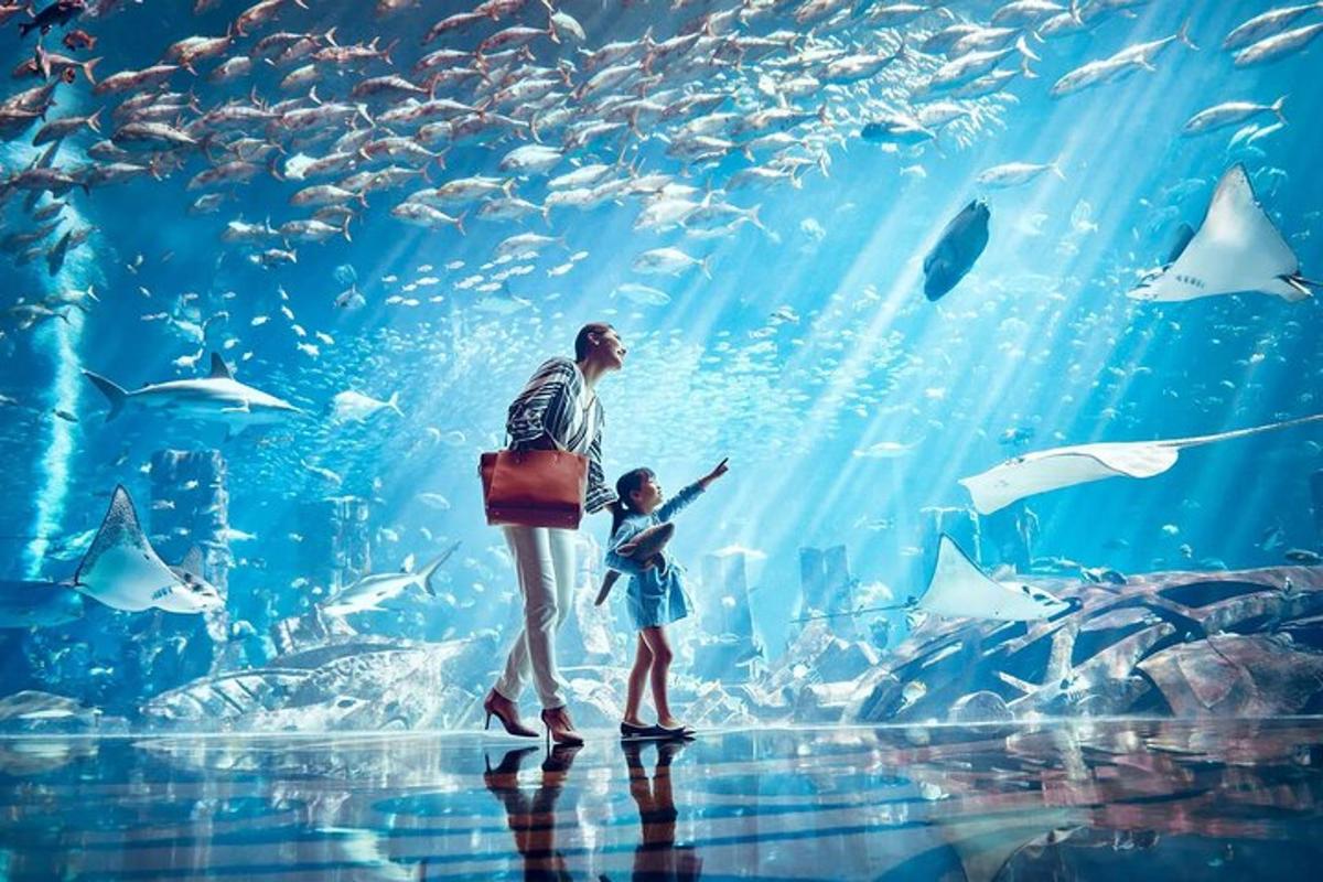 a man and a woman looking at fish in an aquarium