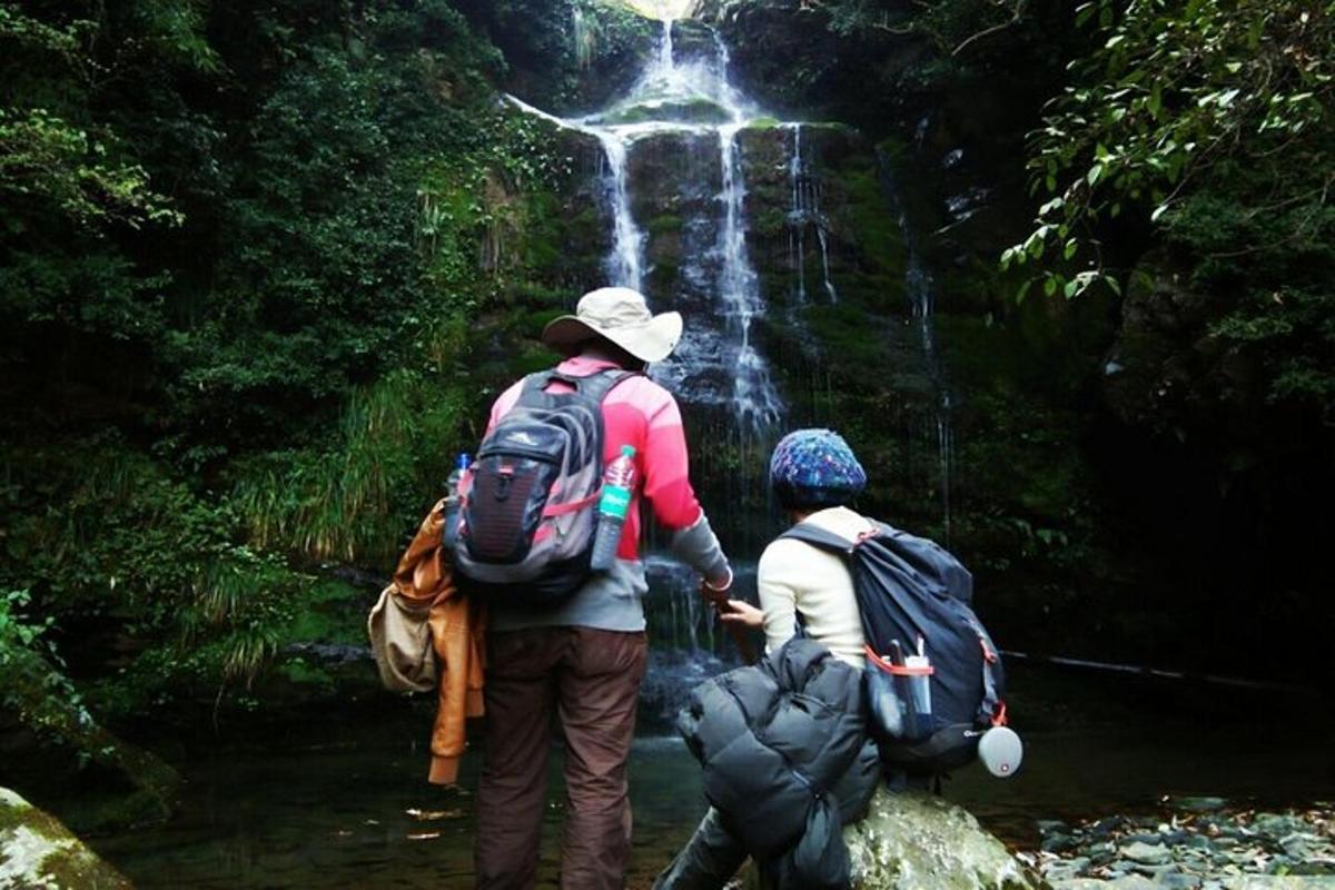 a couple of people walking through a waterfall