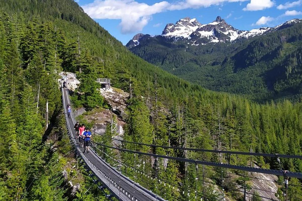 un parell de persones en un pont penjant a les muntanyes