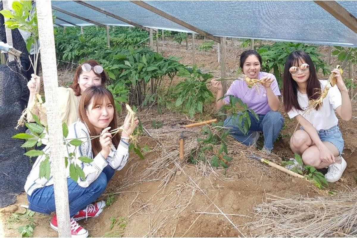 투어 액티비티 사진 5번